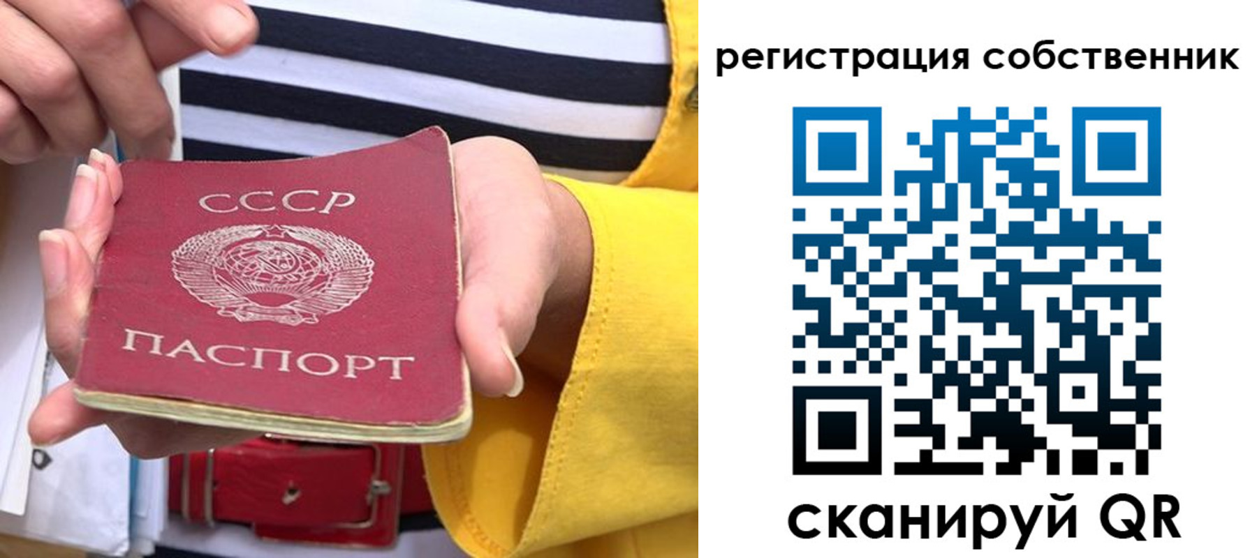 временная прописка в Дальнегорске